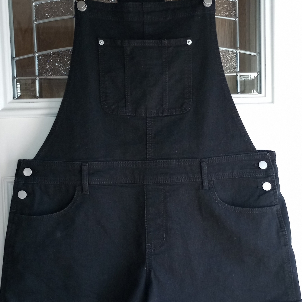 No Boundaries Overall Shorts